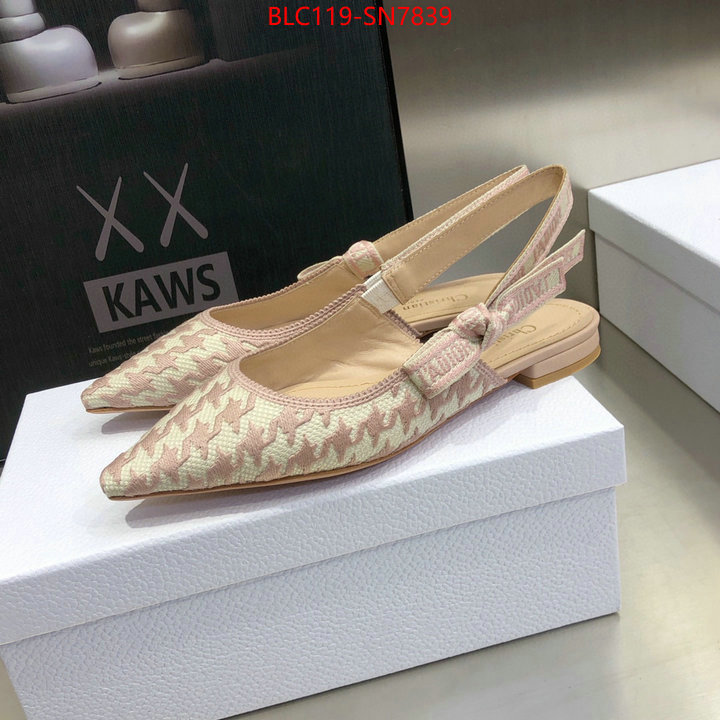 Women Shoes-Dior,how to start selling replica , ID: SN7839,$: 119USD