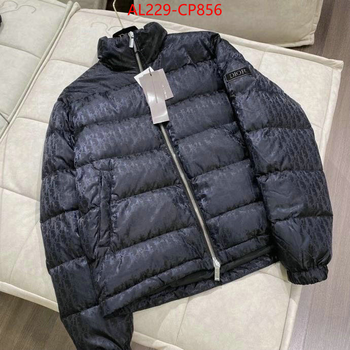 Down jacketMen-Dior,we offer , ID: CP856,$: 229USD