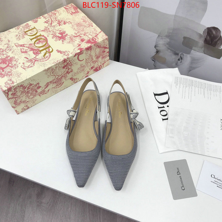 Women Shoes-Dior,how to find replica shop , ID: SN7806,$: 119USD