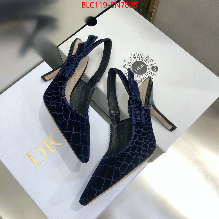 Women Shoes-Dior,buy 1:1 , ID: SN7825,$: 119USD