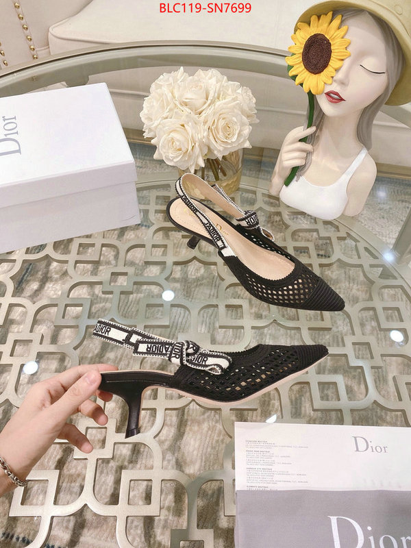 Women Shoes-Dior,buy replica , ID: SN7699,$: 119USD