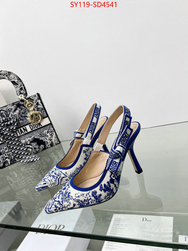 Women Shoes-Dior,most desired , ID: SD4541,$: 119USD