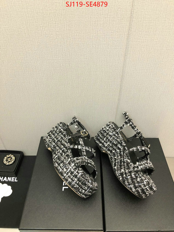 Women Shoes-Chanel,cheap replica designer , ID: SE4879,$: 119USD