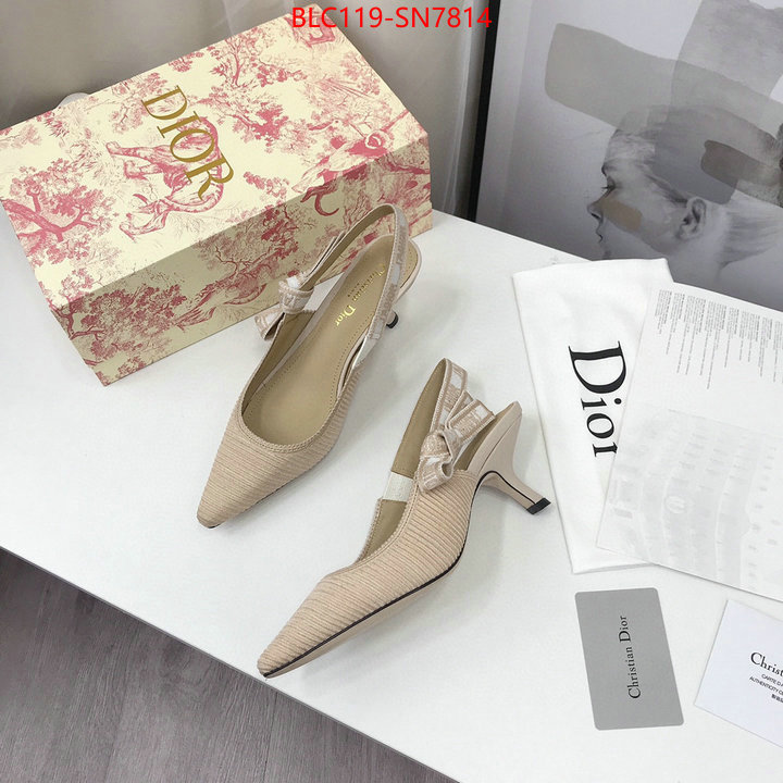 Women Shoes-Dior,how to find replica shop , ID: SN7814,$: 119USD