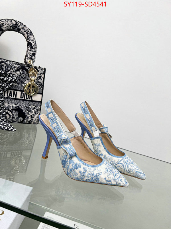 Women Shoes-Dior,most desired , ID: SD4541,$: 119USD