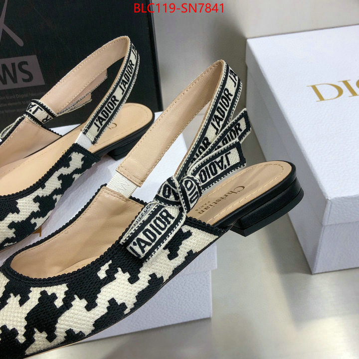 Women Shoes-Dior,outlet 1:1 replica , ID: SN7841,$: 119USD