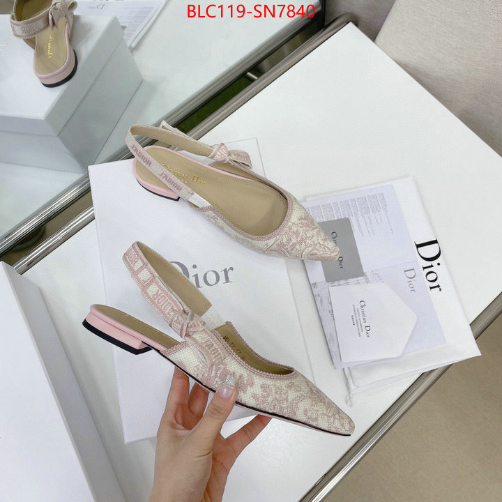 Women Shoes-Dior,replica designer , ID: SN7840,$: 119USD