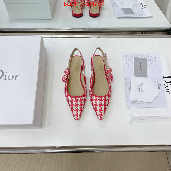 Women Shoes-Dior,outlet 1:1 replica , ID: SN7841,$: 119USD