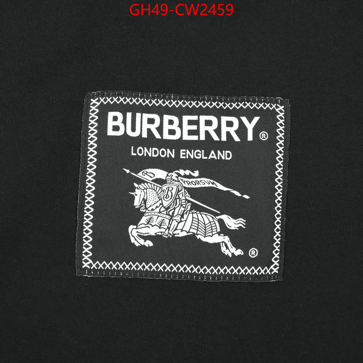 Clothing-Burberry,2023 perfect replica designer , ID: CW2459,$: 49USD