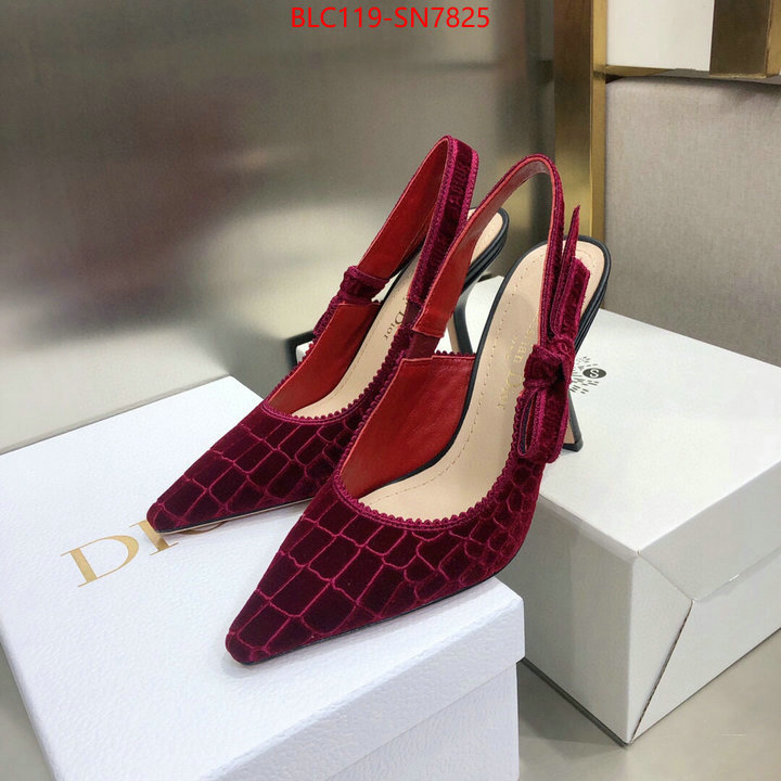 Women Shoes-Dior,buy 1:1 , ID: SN7825,$: 119USD