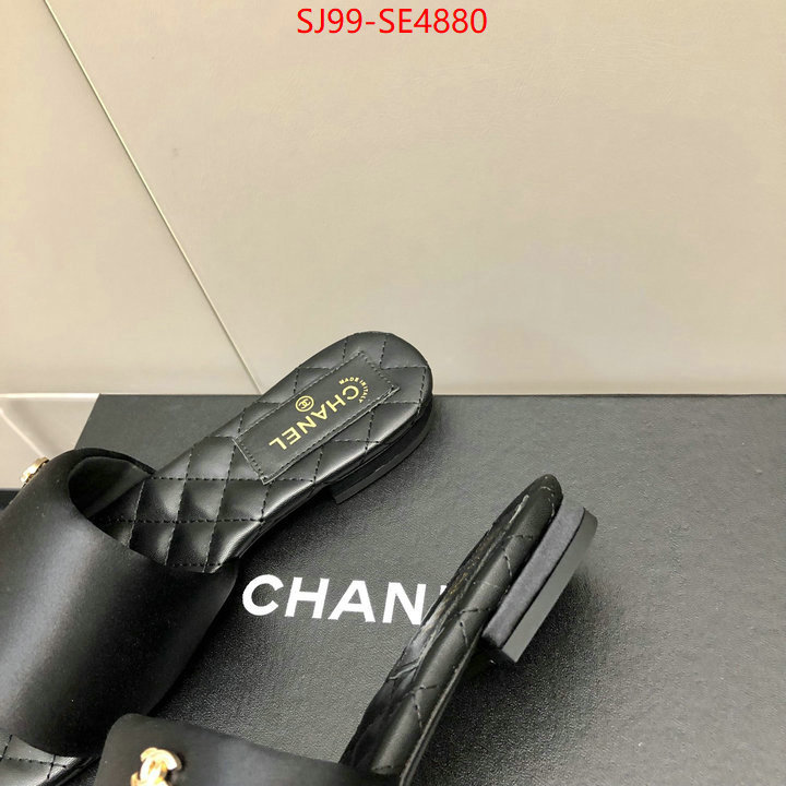 Women Shoes-Chanel,best , ID: SE4880,$: 99USD