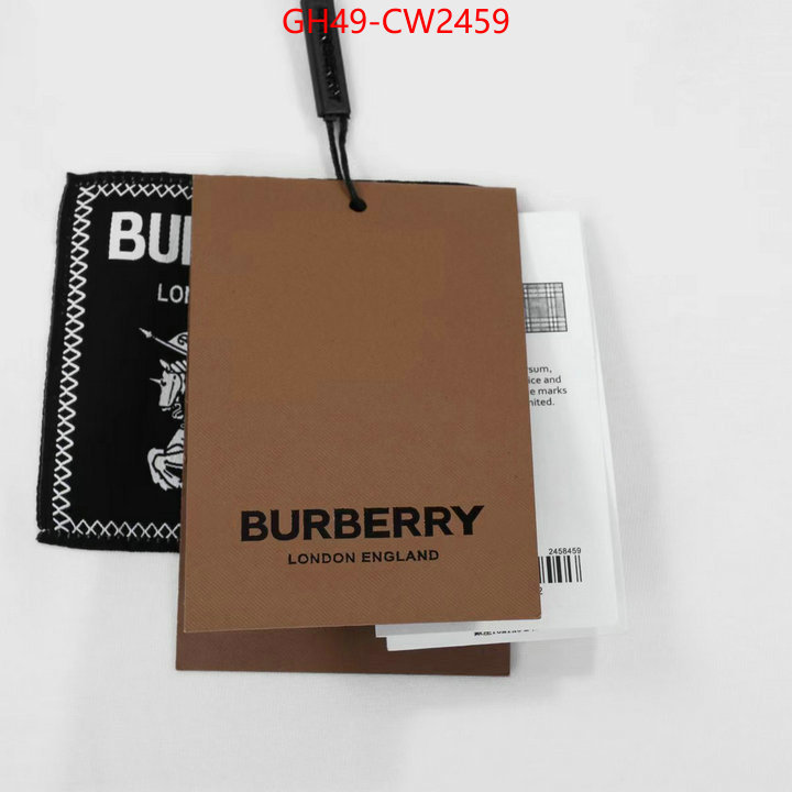 Clothing-Burberry,2023 perfect replica designer , ID: CW2459,$: 49USD