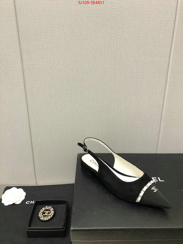 Women Shoes-Chanel,can you buy knockoff , ID: SE4851,$: 109USD