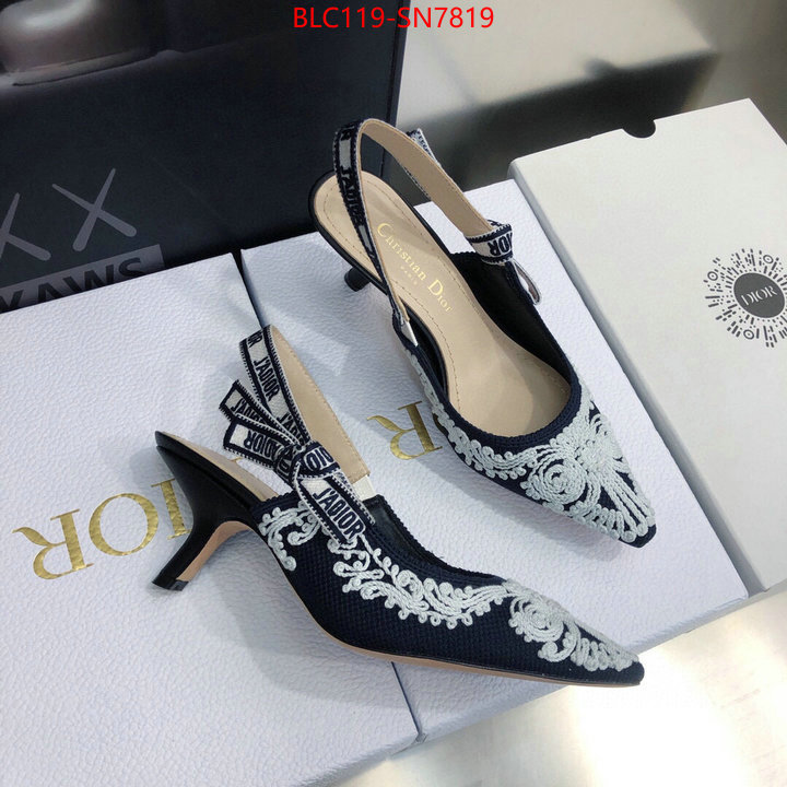 Women Shoes-Dior,replica aaaaa designer , ID: SN7819,$: 119USD