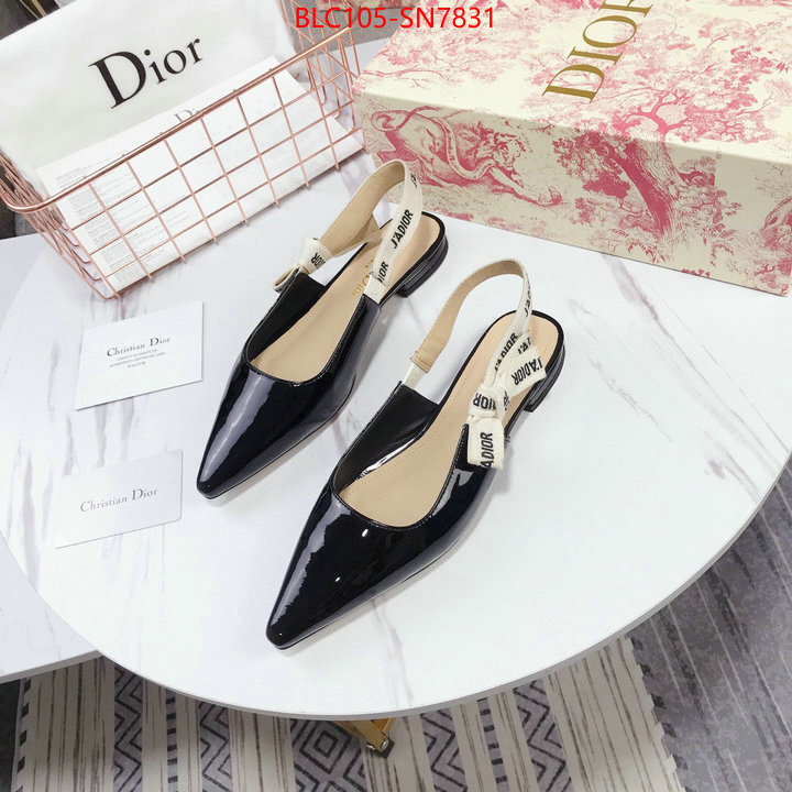 Women Shoes-Dior,aaaaa customize , ID: SN7831,$: 105USD