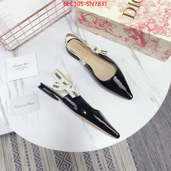 Women Shoes-Dior,aaaaa customize , ID: SN7831,$: 105USD