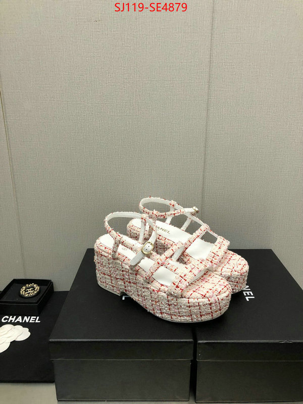 Women Shoes-Chanel,cheap replica designer , ID: SE4879,$: 119USD