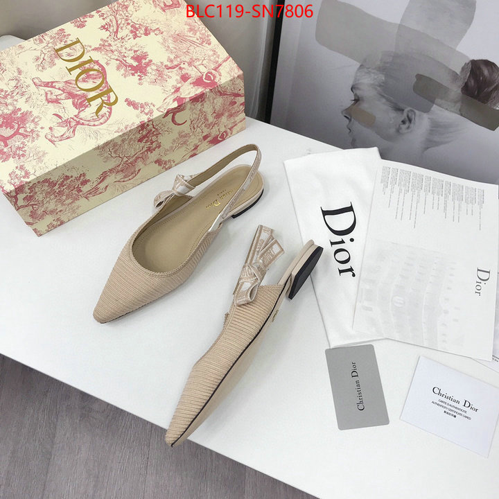 Women Shoes-Dior,how to find replica shop , ID: SN7806,$: 119USD