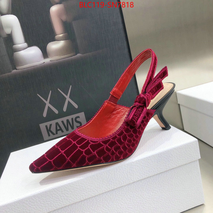 Women Shoes-Dior,aaaaa+ quality replica , ID: SN7818,$: 119USD