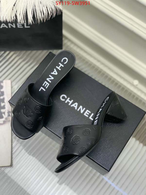 Women Shoes-Chanel,best site for replica , ID: SW3951,$: 119USD