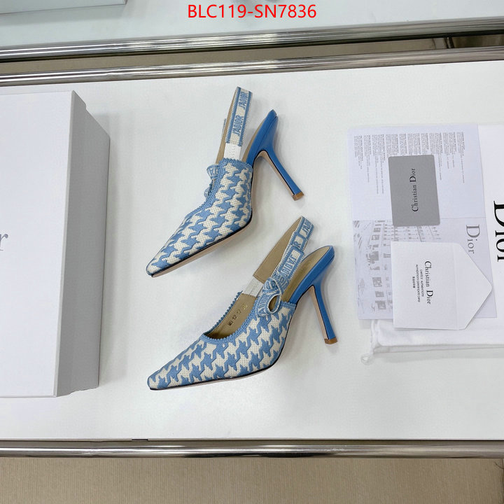 Women Shoes-Dior,what's the best to buy replica , ID: SN7836,$: 119USD