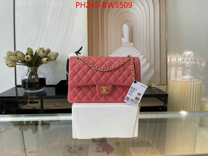 Chanel Bags(TOP)-Diagonal-,ID: BW5509,$: 245USD