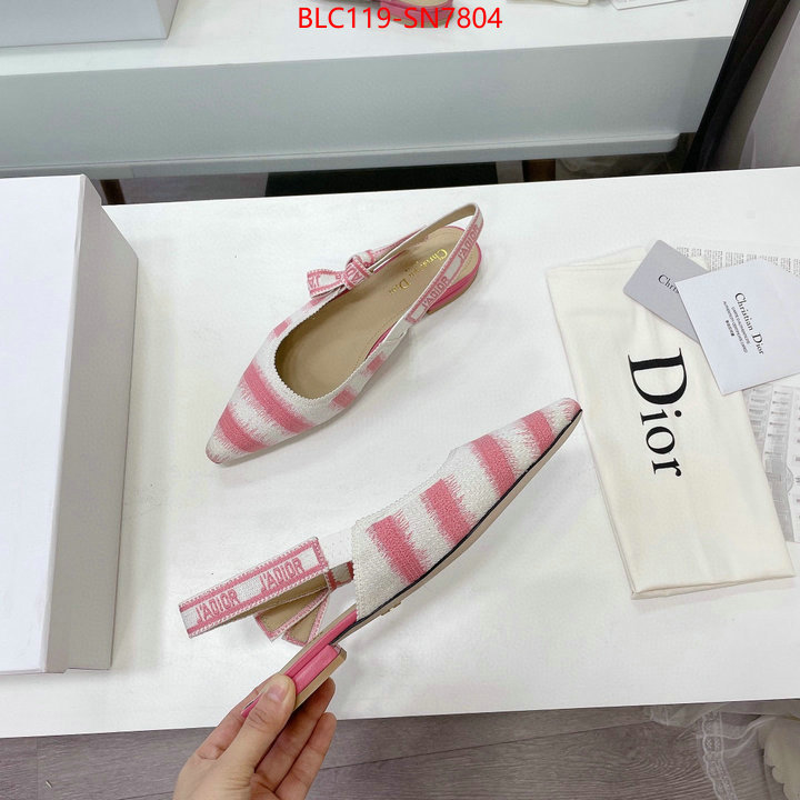 Women Shoes-Dior,wholesale designer shop , ID: SN7804,$: 119USD