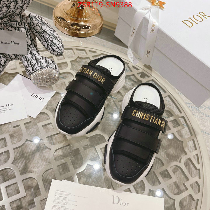 Women Shoes-Dior,designer , ID: SN9388,$: 119USD