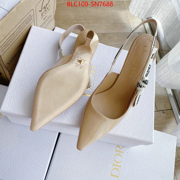 Women Shoes-Dior,fake cheap best online , ID: SN7688,$: 109USD