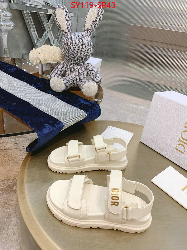 Women Shoes-Dior,is it ok to buy replica , ID: SR43,$: 119USD