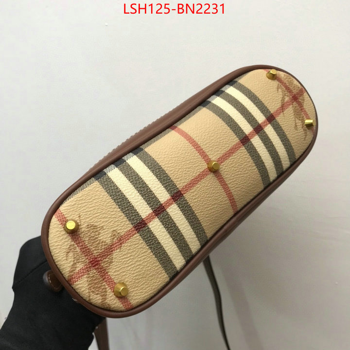 Burberry Bags(TOP)-Diagonal-,top designer replica ,ID: BN2231,$: 125USD