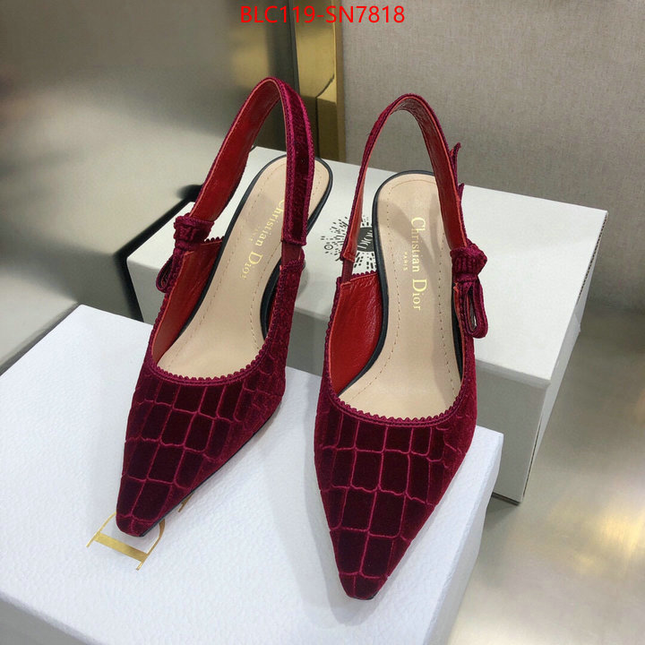 Women Shoes-Dior,aaaaa+ quality replica , ID: SN7818,$: 119USD