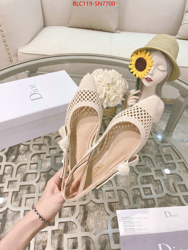 Women Shoes-Dior,sell online luxury designer , ID: SN7700,$: 119USD