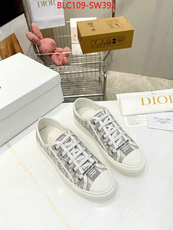 Women Shoes-Dior,what's the best place to buy replica , ID: SW392,$: 109USD