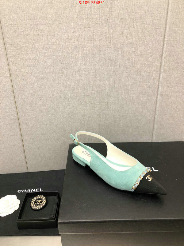 Women Shoes-Chanel,can you buy knockoff , ID: SE4851,$: 109USD