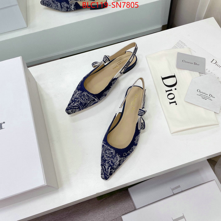 Women Shoes-Dior,the top ultimate knockoff , ID: SN7805,$: 119USD