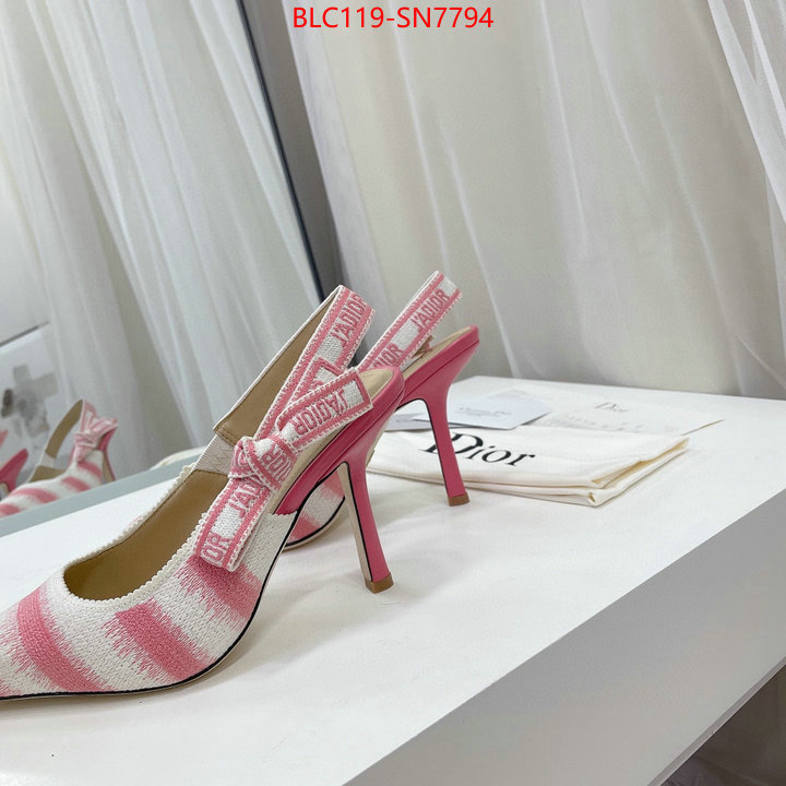 Women Shoes-Dior,online store , ID: SN7794,$: 119USD