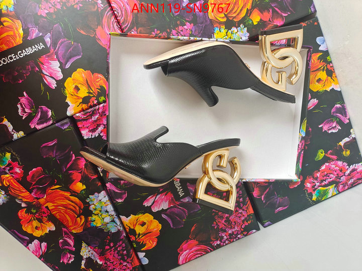 Women Shoes-DG,what's the best to buy replica , ID: SN9767,$: 119USD