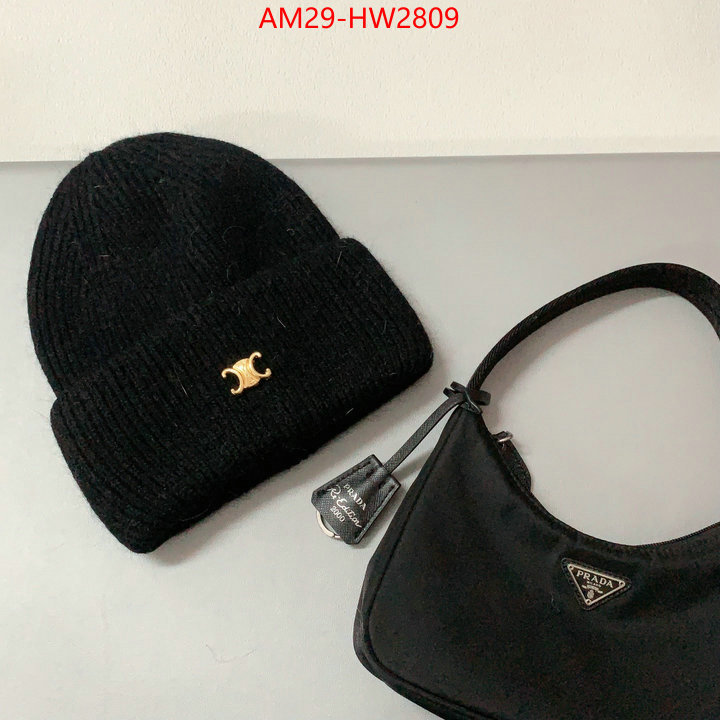 Cap (Hat)-Celine,top grade , ID: HW2809,$: 29USD