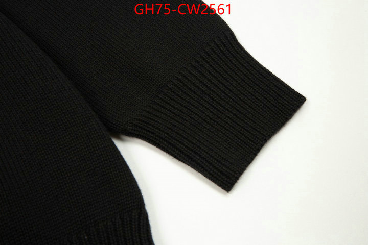 Clothing-Balenciaga,the best quality replica , ID: CW2561,$: 75USD