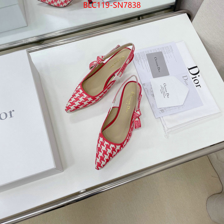 Women Shoes-Dior,can i buy replica , ID: SN7838,$: 119USD