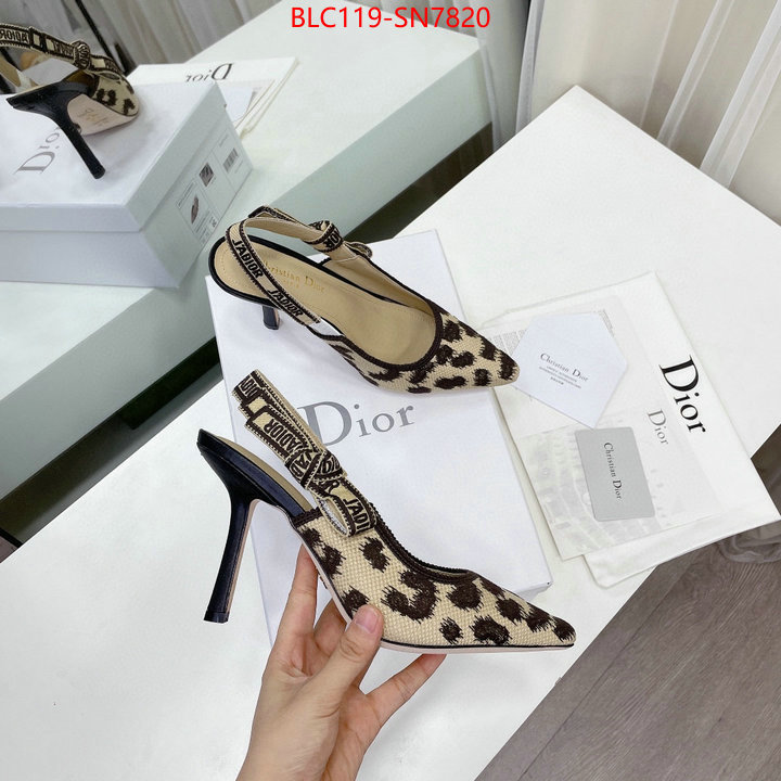 Women Shoes-Dior,1:1 replica , ID: SN7820,$: 119USD