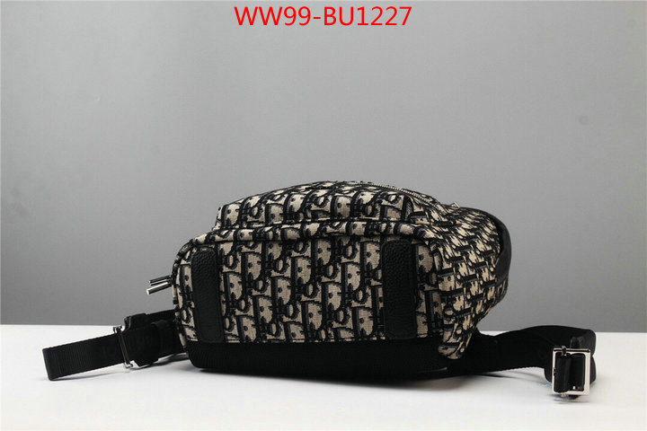 Dior Bags(4A)-Backpack-,ID: BU1227,$: 99USD