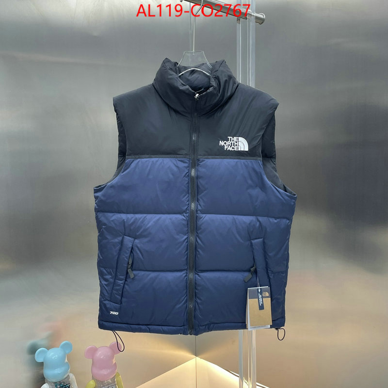 Down jacket Men-The North Face,designer 1:1 replica , ID: CO2767,$: 119USD