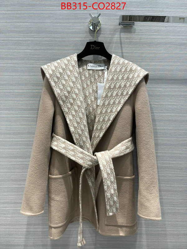 Down jacket Women-Dior,cheap wholesale , ID: CO2827,$: 315USD