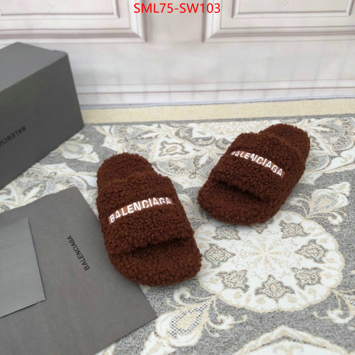 Women Shoes-Balenciaga,fake high quality , ID: SW103,$: 75USD