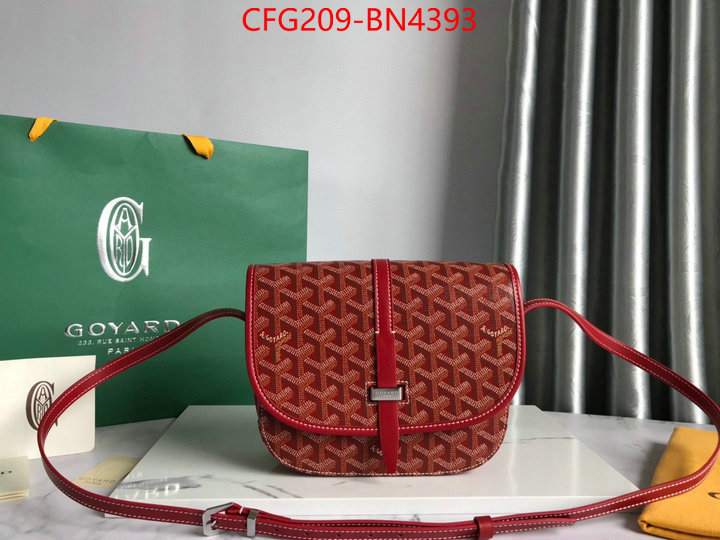 Goyard Bags(TOP)-Diagonal-,ID: BN4393,$: 209USD