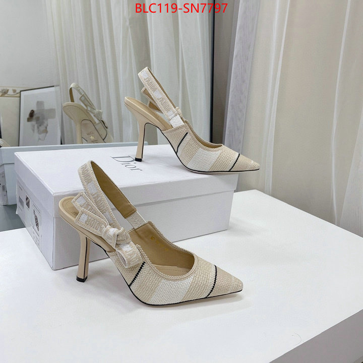 Women Shoes-Dior,2023 aaaaa replica 1st copy , ID: SN7797,$: 119USD