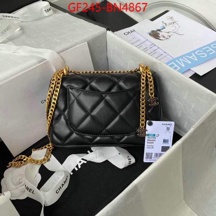 Chanel Bags(TOP)-Diagonal-,ID: BN4867,$: 245USD