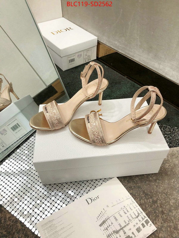 Women Shoes-Dior,first copy , ID: SD2562,$: 119USD